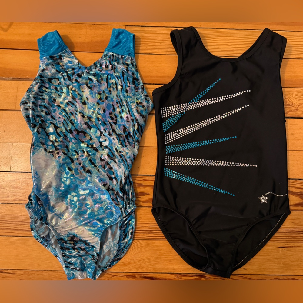 2 gymnastics leotards Destira and Go for the Gold